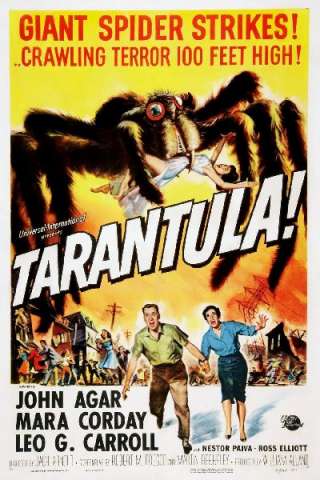 Tarantola