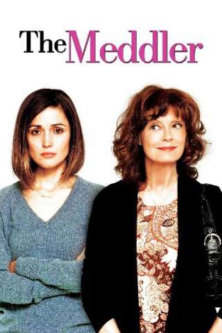 The meddler