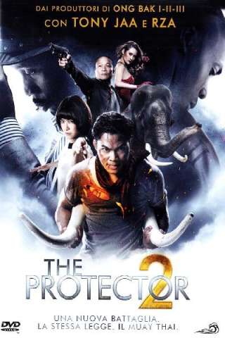 The Protector 2