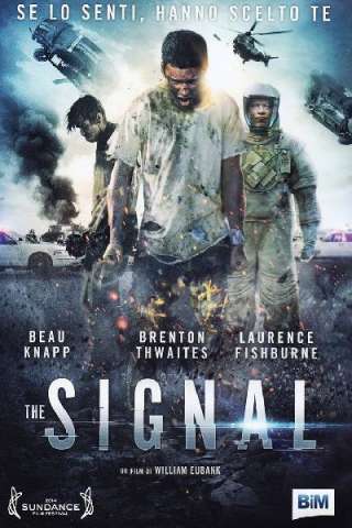 The Signal