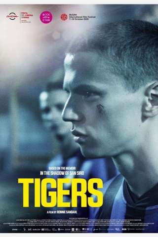 Tigers