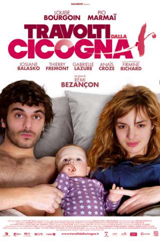Travolti dalla cicogna