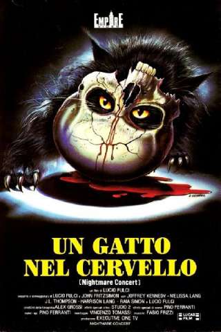 Un gatto nel cervello